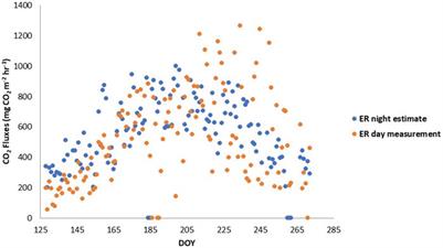 Partitioning autotrophic and heterotrophic respiration in an ombrotrophic bog